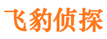 海南州市私家侦探